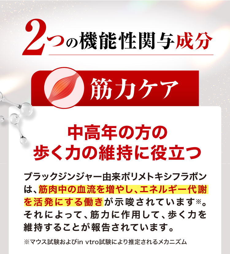 2つの機能性関与成分「筋力ケア」中高年の方の歩く力の維持に役立つ