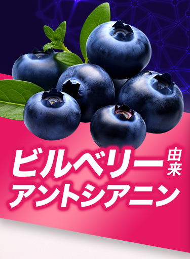 ビルベリー由来 アントシアニン