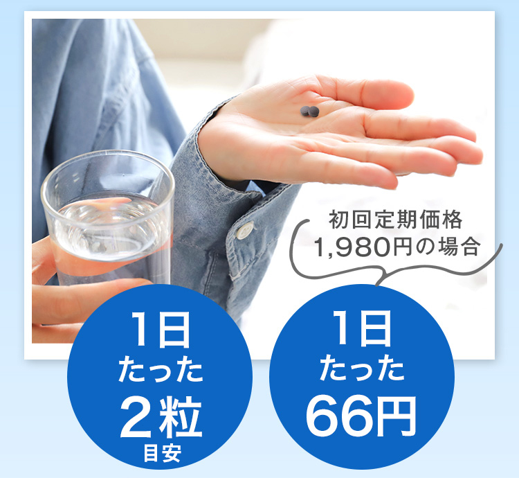 初回定期価格1,980円の場合 1日たった2粒 1日たった66円