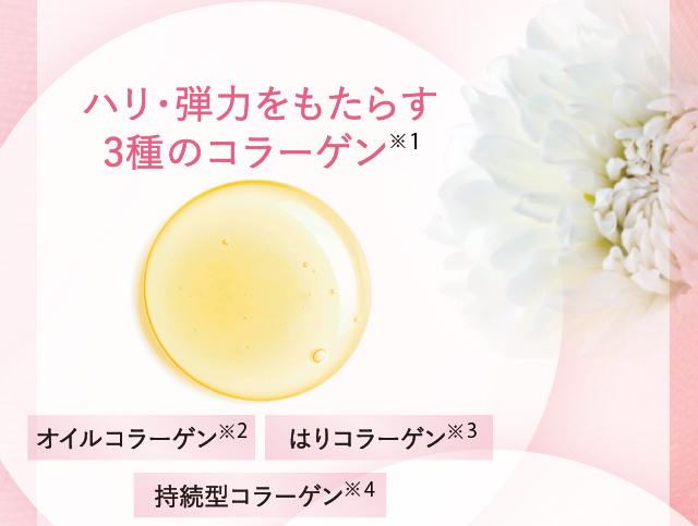 ハリ、弾力をもたらす3種のコラーゲン※1　オイルコラーゲン※2　はりコラーゲン※3　持続型コラーゲン※4