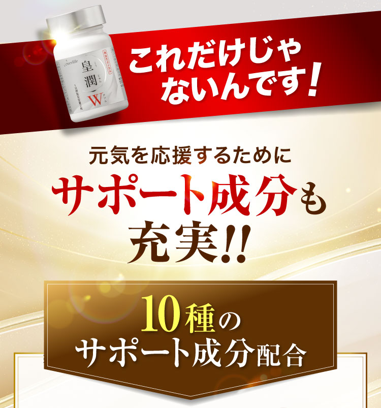 これだけじゃないんです!元気を応援するためにサポート成分も充実!!10種のサポート成分配合