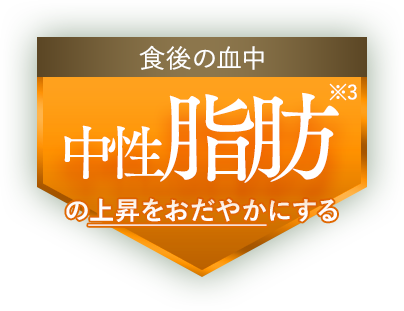 食後の血中