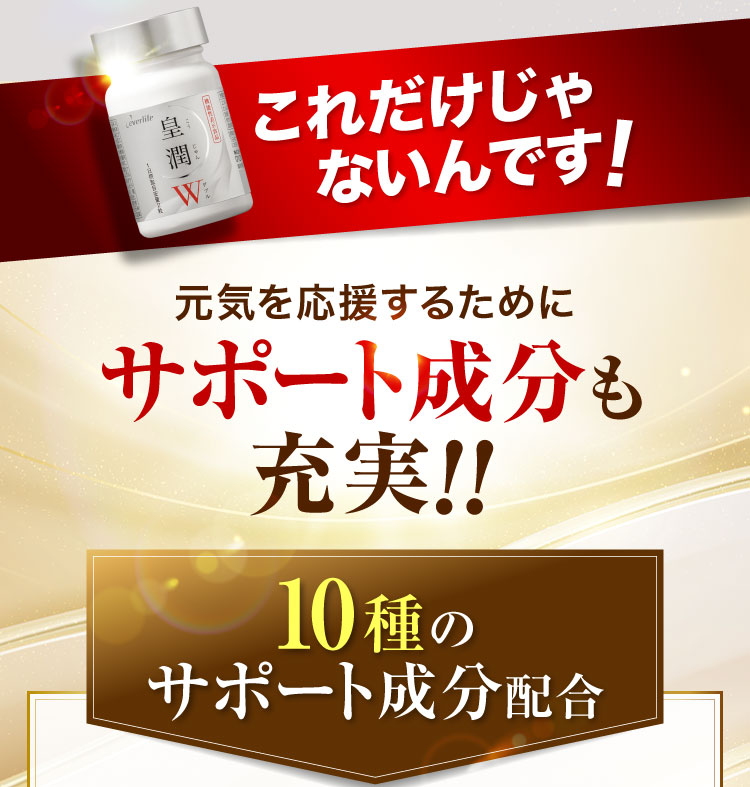 これだけじゃないんです!元気を応援するためにサポート成分も充実!!10種のサポート成分配合