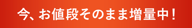 今、お値段そのまま