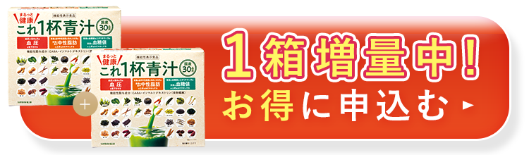 1箱増量中！お得に申込む