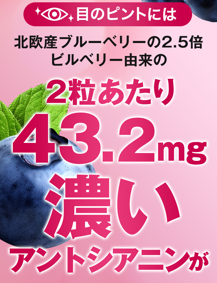 目のピントには北欧産ブルーベリーの2.5倍 ビルベリー由来の2粒あたり43.2mg 濃いアントシアニンが