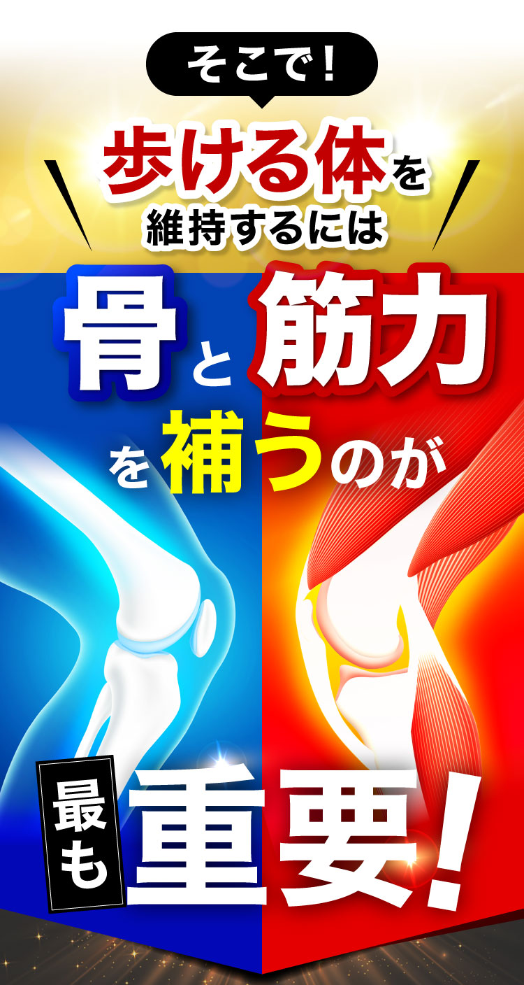 そこで！歩ける体を維持するには骨と筋力を補うのが最も重要!