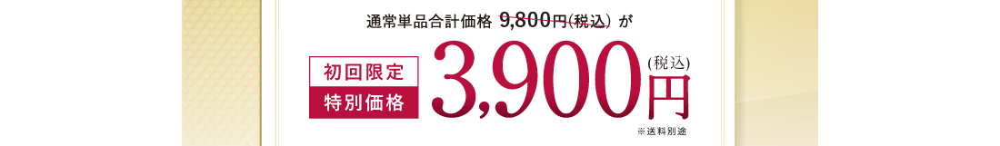 初回限定 特別価格 3,900円(税込)