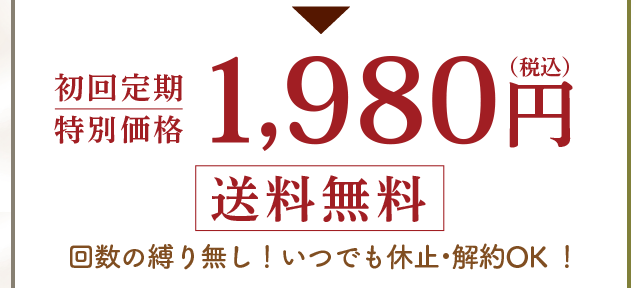 初回限定　特別価格　1,980円（税込）送料無料