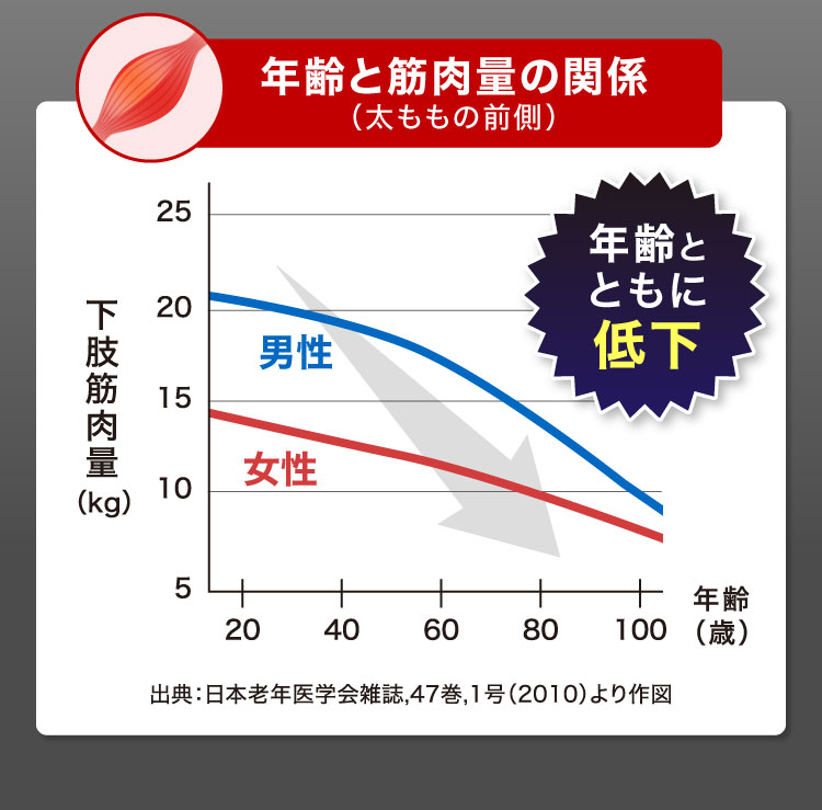 年齢と筋肉量の関係