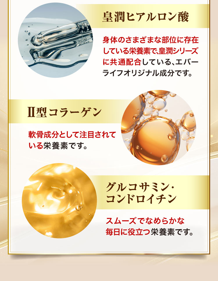 皇潤ヒアルロン酸 Ⅱ型コラーゲン グルコサミン・コンドロイチン