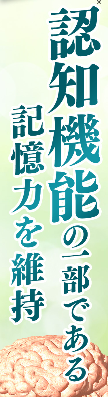 認知機能の一部である記憶力を維持