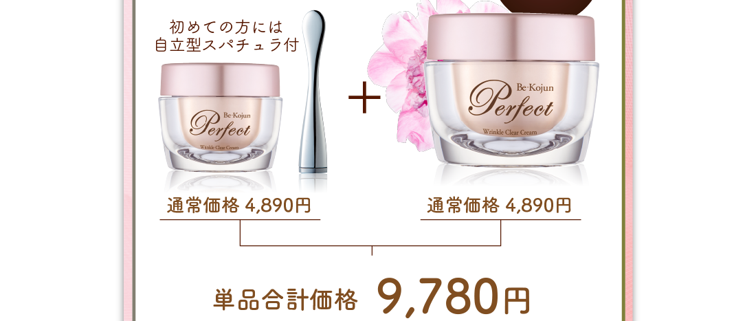 通常価格4,890円×2個　単品合計価格9,780円が