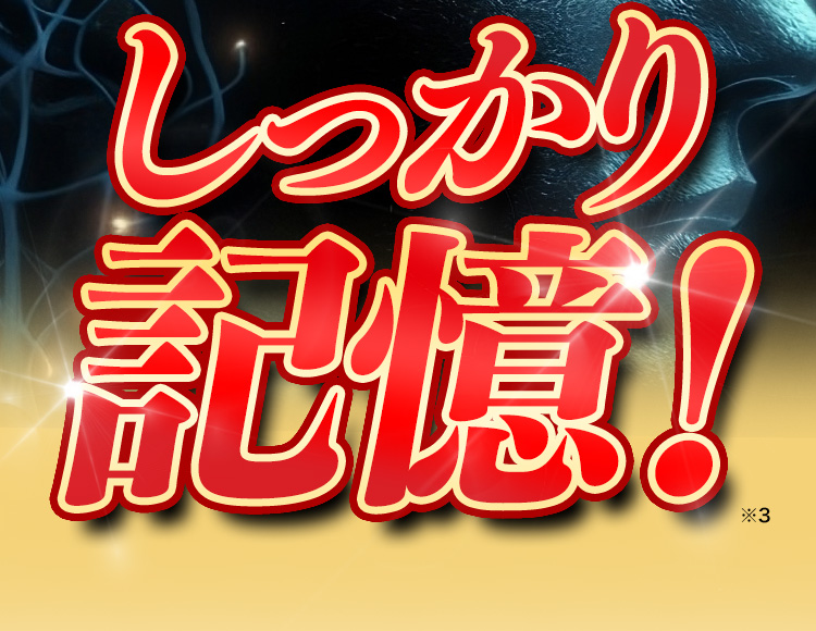 しっかり記憶！※3