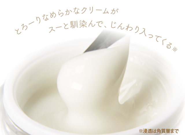 とろーりなめらかなクリームがスーと馴染んで、じんわり入ってくる※浸透は角質層まで