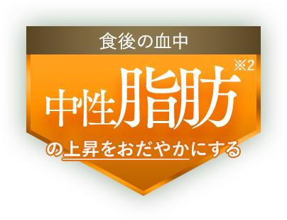 食後の血中