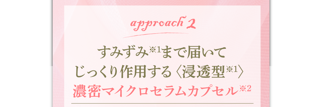 アプローチ2　すみずみ※2まで届いてじっくり作用する浸透型※1　濃密マイクロセラムカプセル※2