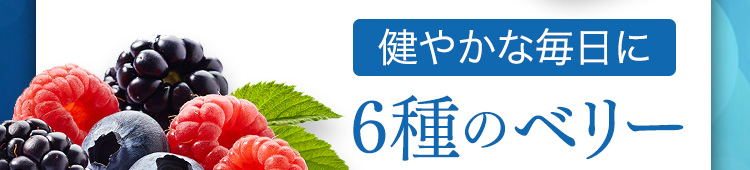健やかな毎日に 6種のベリー
