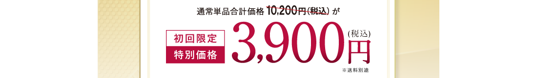 初回限定 特別価格 3,900円(税込)