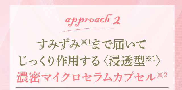 アプローチ2　すみずみ※2まで届いてじっくり作用する浸透型※1　濃密マイクロセラムカプセル※2