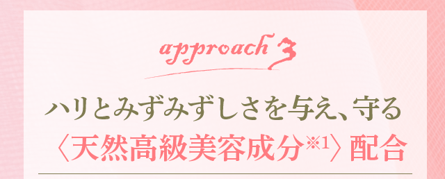 アプローチ3　ハリとみずみずしさを与え、守る　天然高級美容成分※1配合