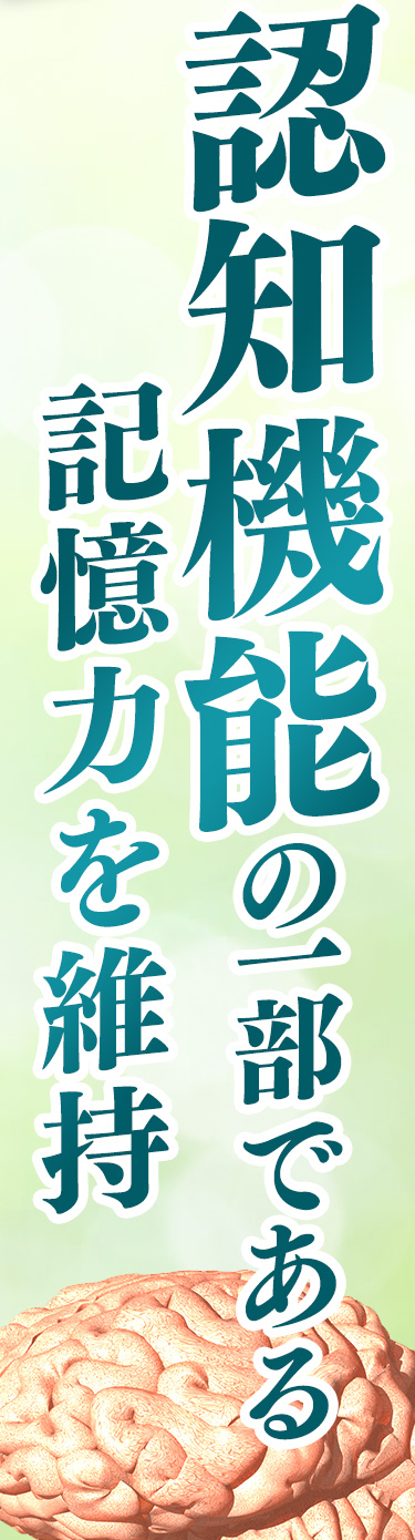 認知機能の一部である記憶力を維持