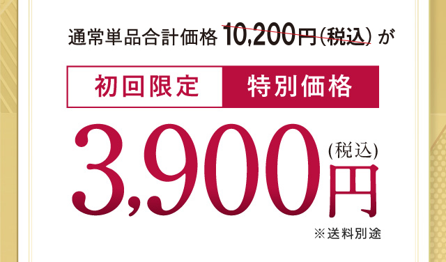 初回限定 特別価格 3,900円(税込)
