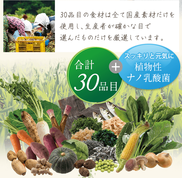 30品目の食材は全て国産素材だけを使用し、生産者が確かな目で選んだものだけを厳選しています。合計30品目＋スッキリと元気に植物性ナノ乳酸菌