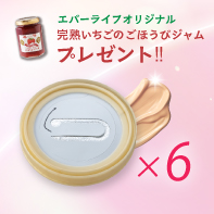 【オリジナルいちごジャム付】メッシュドボーテCC&times;レフィル6個 3/31まで!