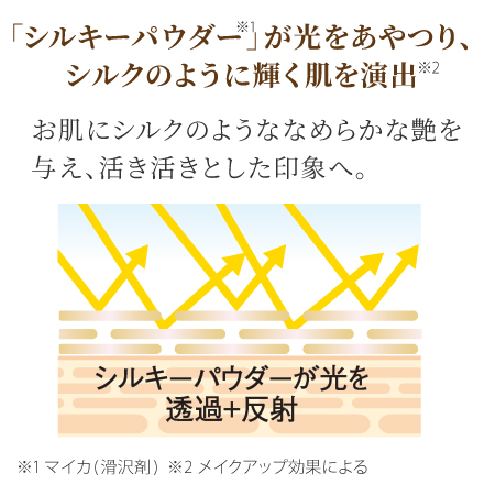 【セミマット仕上げ】シルキーフィットパウダー 3/31まで! image number 1